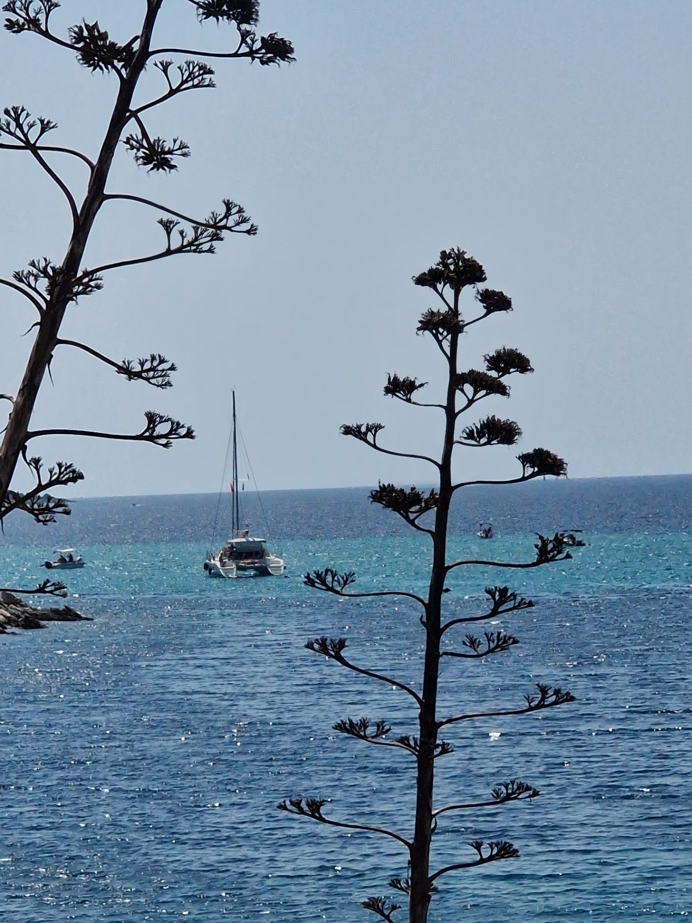 A quiet cove on the Sithonia coast, Halkidiki