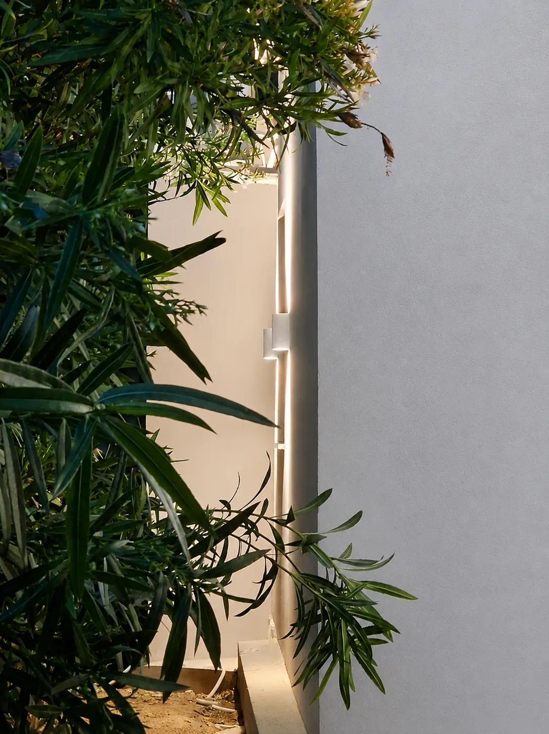 Outdoor wall light over planted greenery