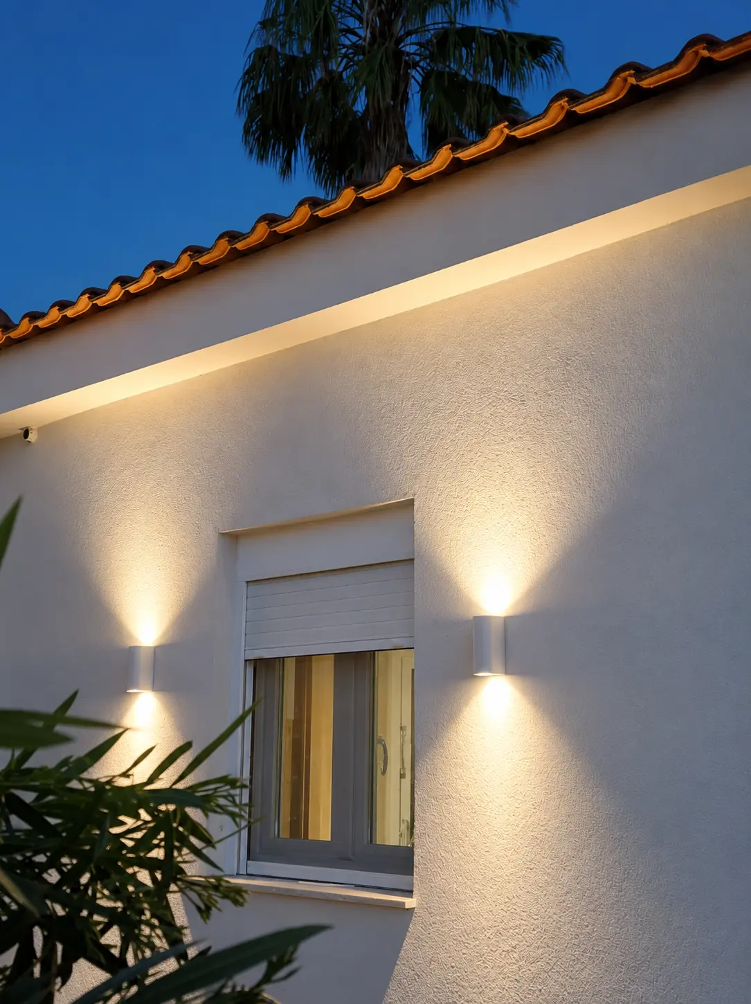 Warm roofline lighting under the palm tree